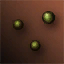 Pumpkin Seed