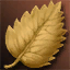 Golden Pig's Leaf