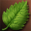 Spring Energy Lv. 2