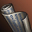 Silver Strider Rider Scroll