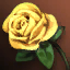 Package: Golden Rose (1000 pcs.) (Time-limited)