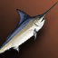 Fresh Blue Mackerel