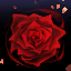Фламенко - До